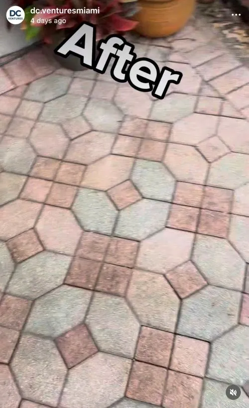 Paver driveway after cleaning